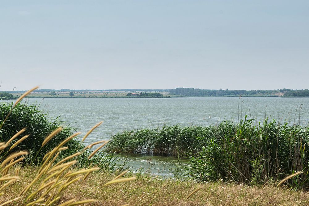 Срещи с гледки по северния бряг