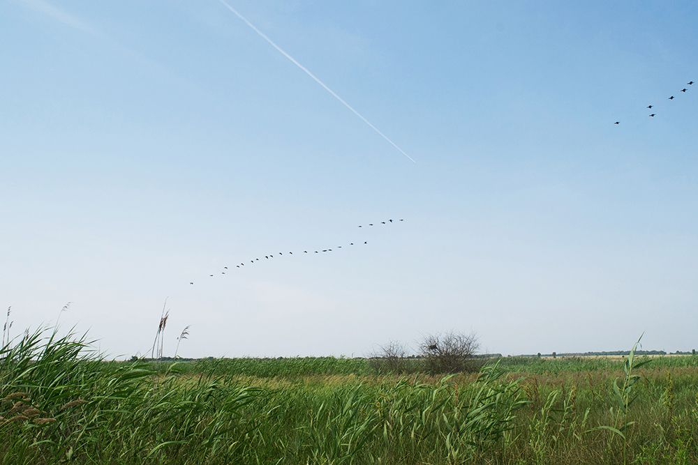 Срещи с гледки по северния бряг