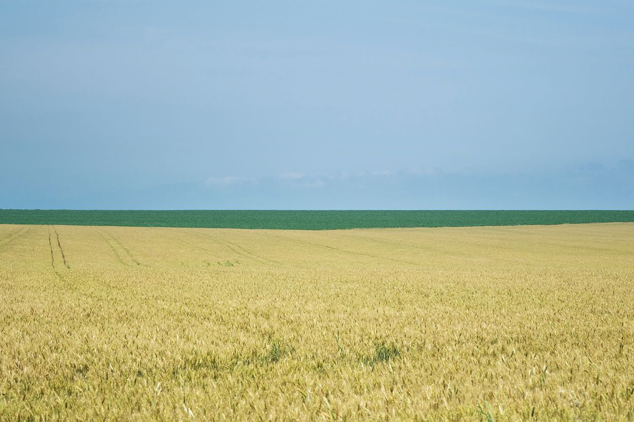 Срещи с гледки по северния бряг