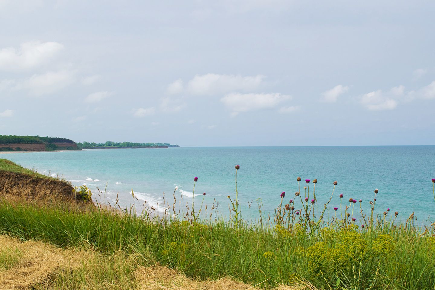Срещи с гледки по северния бряг
