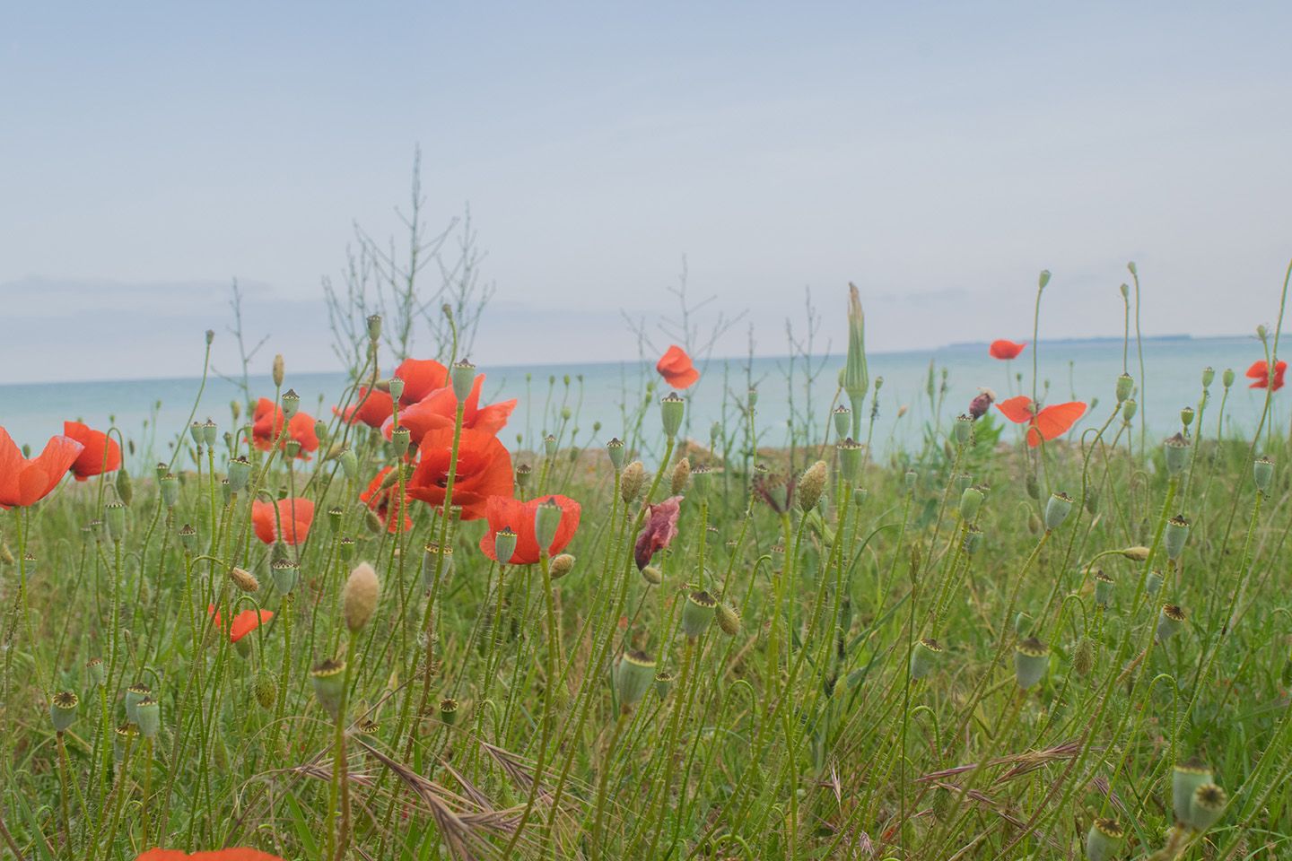 Срещи с гледки по северния бряг