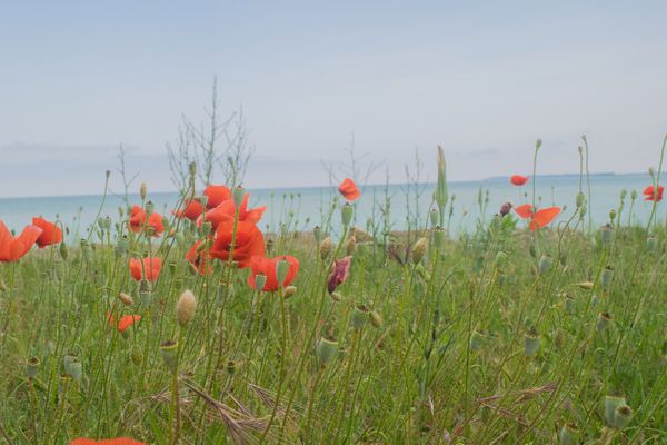 Срещи с гледки по северния бряг
